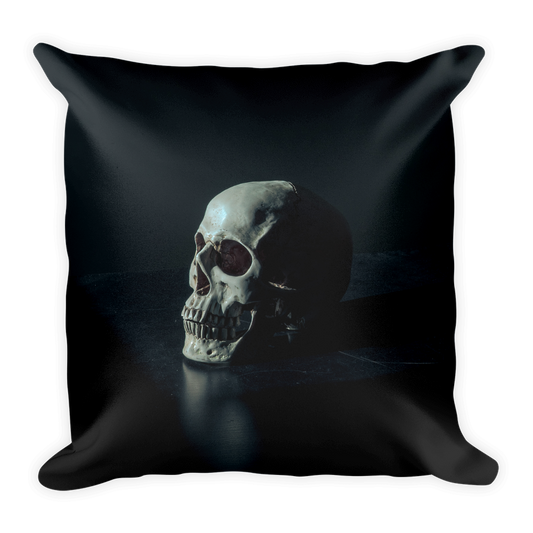 Throw pillow with single skull